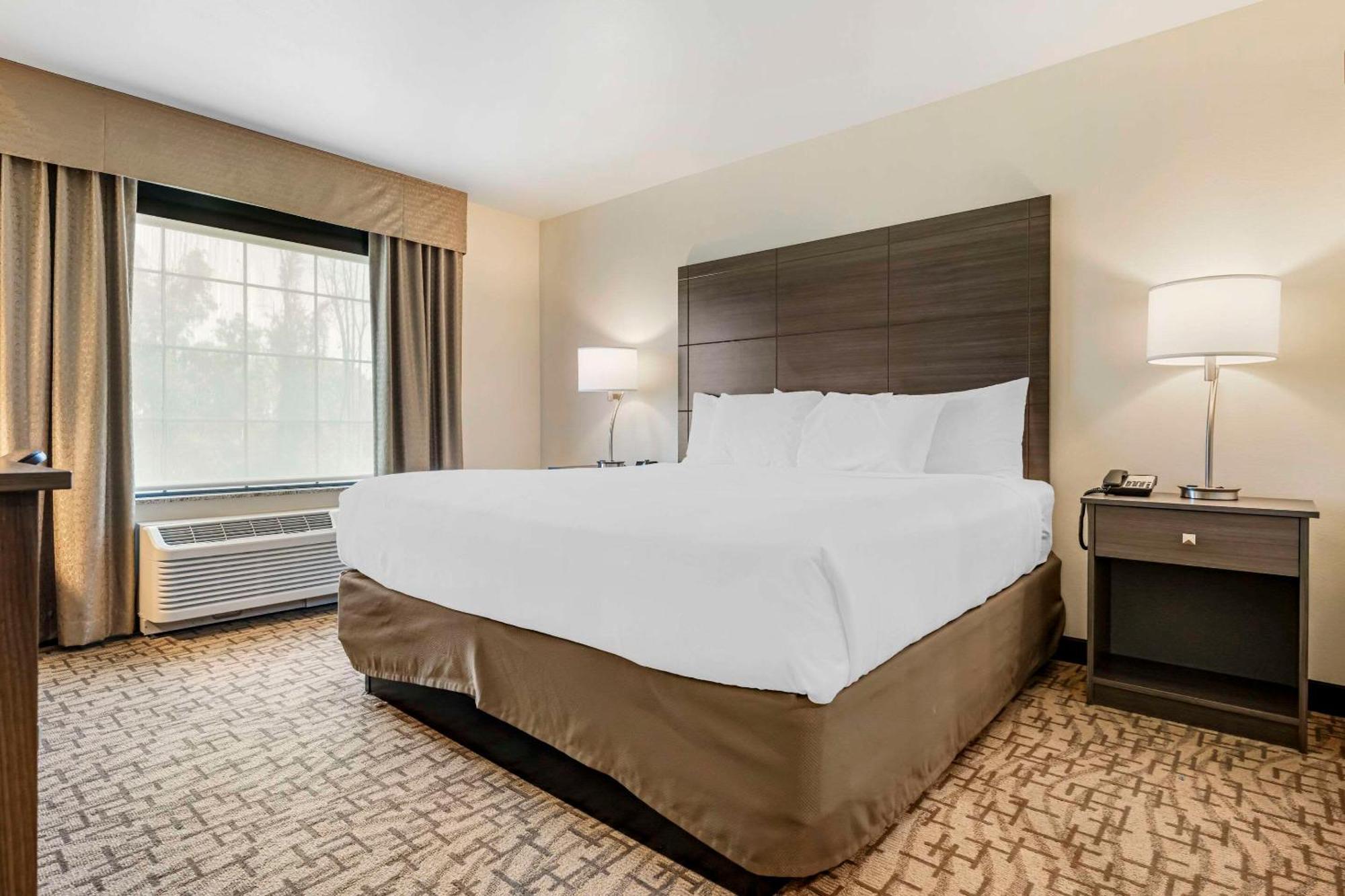 Comfort Inn & Suites Medina 外观 照片