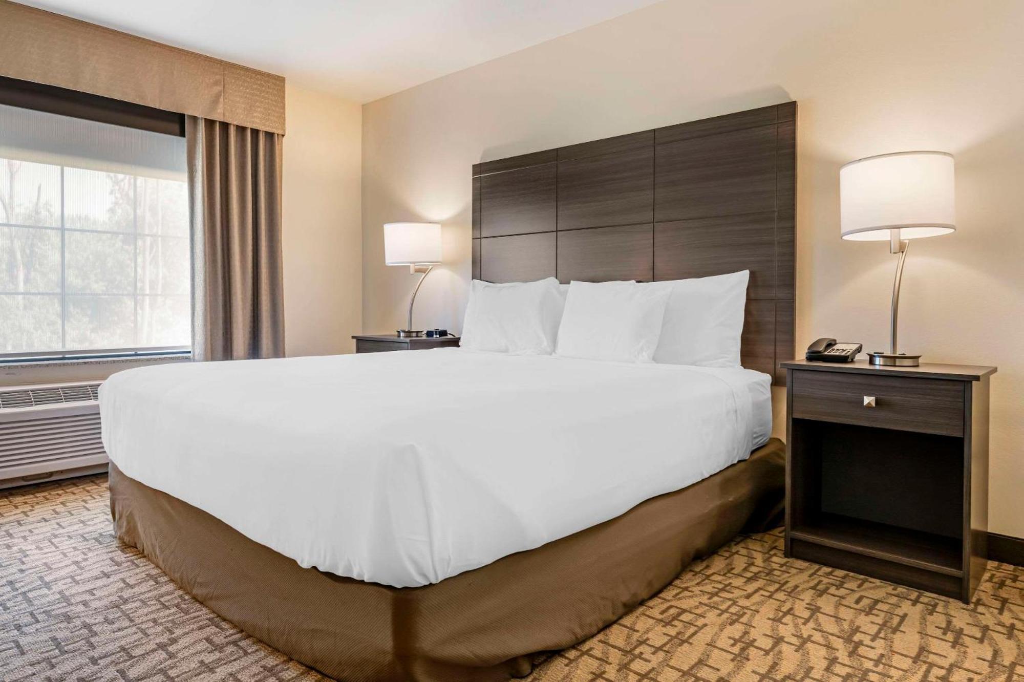 Comfort Inn & Suites Medina 外观 照片